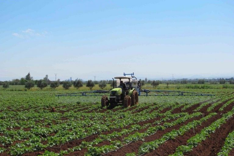 Morocco among top 5 African markets for agri-food investments, find report
