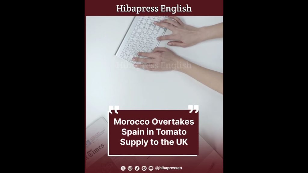 Morocco Overtakes Spain in Tomato Supply to the UK