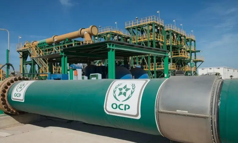 Phosphate prices fall globally and OCP transactions drop from 114 billion to 91 billion dirhams