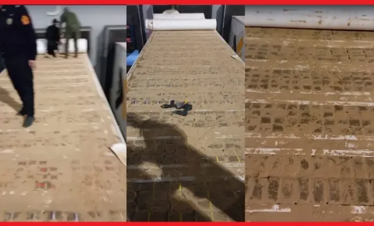 Smuggling of more than a ton of drugs foiled at the port of Tangier