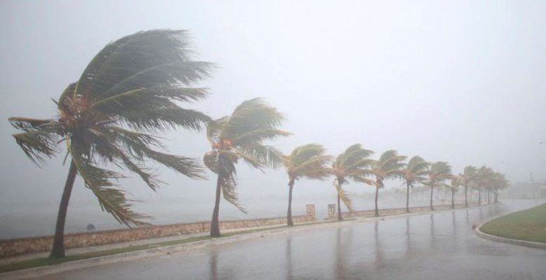 Strong gusts of wind: Motorway users called to be vigilant