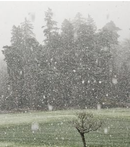 Weather: Snowflakes