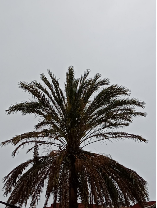 Weather: Temperatures falling sharply