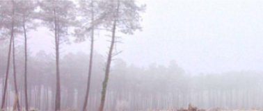 Weather: it's cold