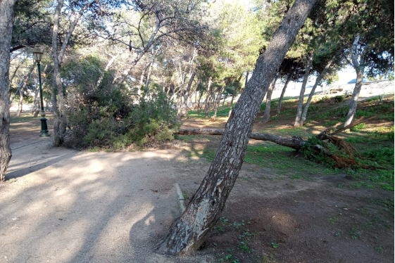 Weather: Quite strong wind gusts