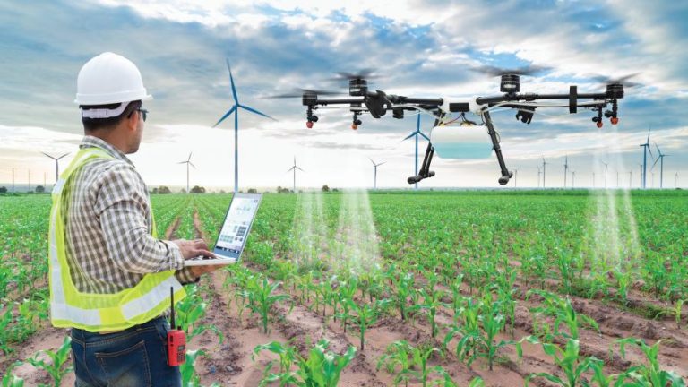 2nd edition of the Green Open Challenge: For the promotion of agricultural innovation