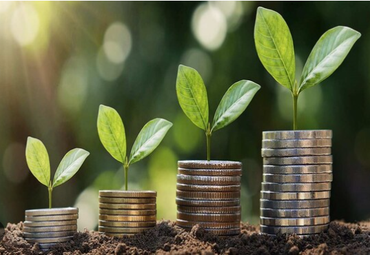 After Morocco/climate change: what risks for French banks and insurance companies?