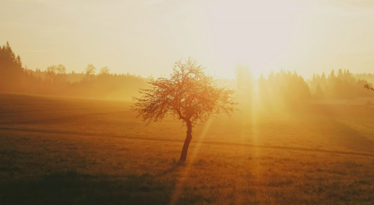 Climate change causes longer heat waves