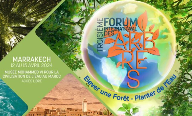 Marrakech is hosting, from today, the 3rd edition of the International Tree Forum: the importance of trees and forests in the preservation of water and biodiversity