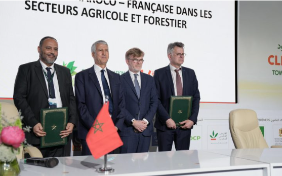 Morocco-France: Partnership roadmap in the agricultural and forestry fields