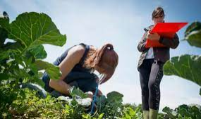 Plant health and trade safety