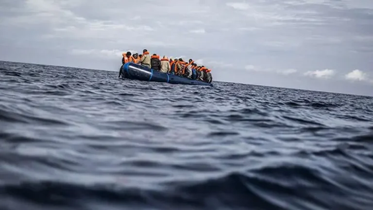 Royal Armed Forces assist 54 illegal immigrants