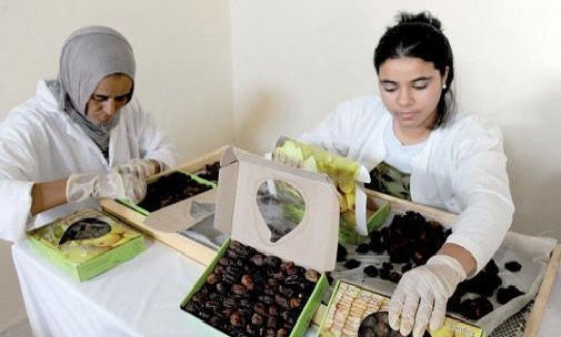 Social and solidarity economy: The Executive aims to create 50,000 jobs per year
