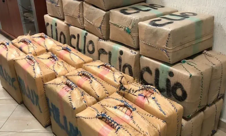 The Wilaya… “La Découverte” and the Gendarmerie foil an international drug smuggling operation