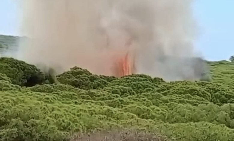 A massive fire in the “Laibika” forest mobilizes the Larache authorities