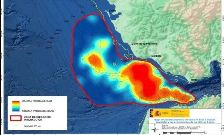 After sinking yacht in Strait of Gibraltar, Spain warns sailors about orcas