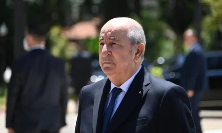 Algerian activists criticize Tebboune: The threat of stones does not suit a president