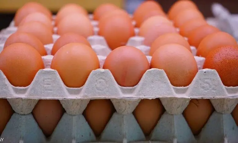 Marrakech: a virus from spoiled eggs causing collective food poisoning