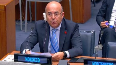 Morocco elected vice-president of the United Nations Forum on Forests for 2024-2026 on behalf of the African Continent