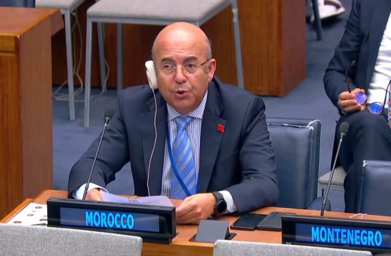 Morocco elected vice-president of the United Nations Forum on Forests for 2024-2026 on behalf of the African Continent
