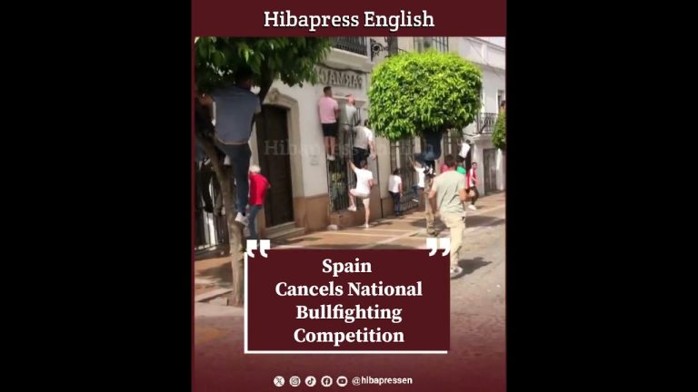 Spain Cancels National Bullfighting Competition