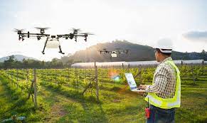Sustainability of agricultural development in Morocco. Water efficiency and transition to renewable energies