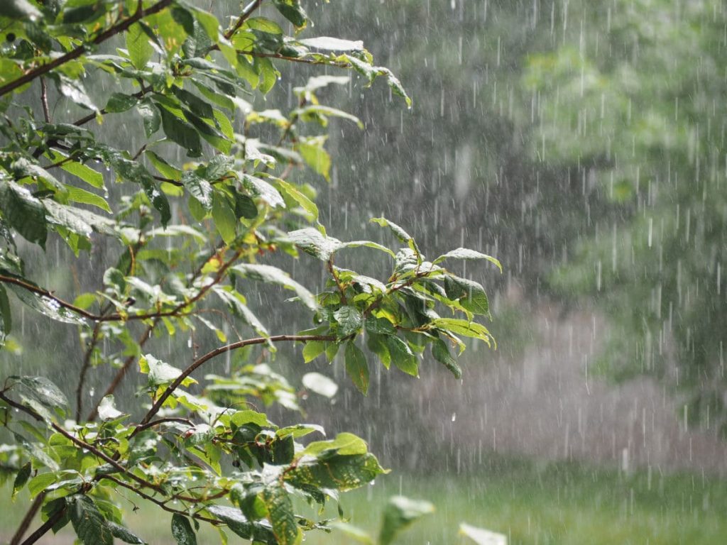 Weather: rain is falling