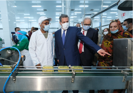 World Tuna Day: The port of Dakhla alone provides more than 90% of landings