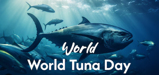 World Tuna Day: Which species can we eat and which species should we avoid? List