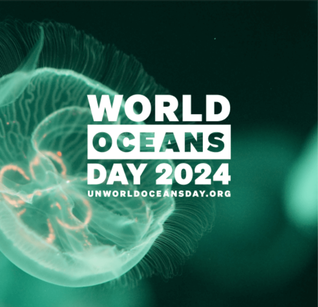 All united to celebrate the value of the oceans