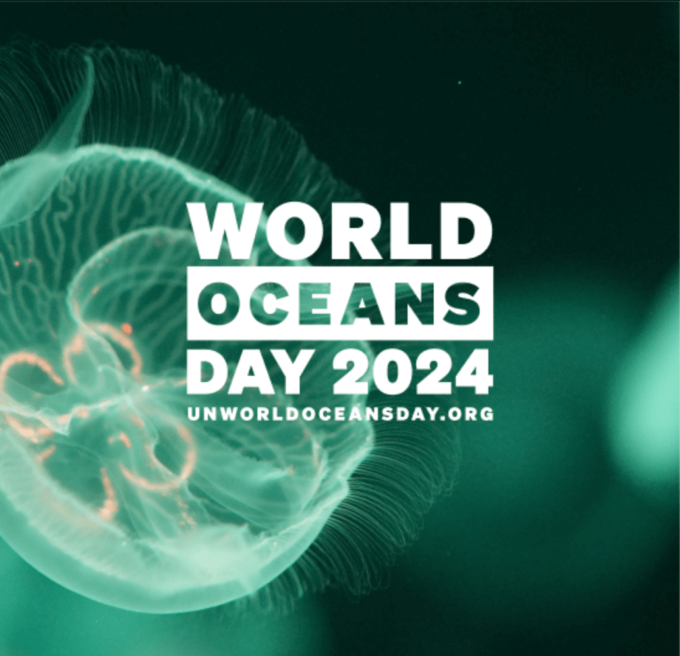 All united to celebrate the value of the oceans