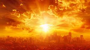 Extreme heat in India: Court calls for declaration of national emergency