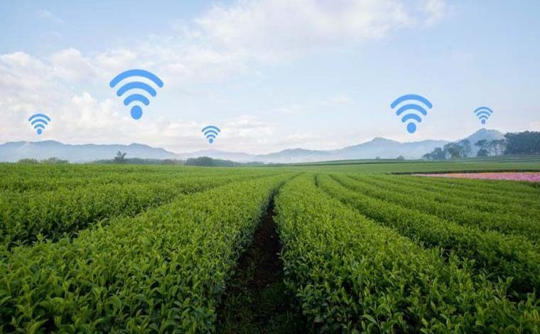 Generation Green: Launch of agricultural and rural development projects in the province of Al Hoceima