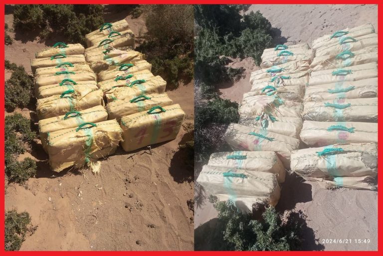 Guelmim…security thwarts trafficking of 460 kilos of drugs
