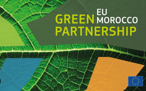 Morocco-EU Green Partnership: “Decarbonization, issues and procedures for Moroccan companies”