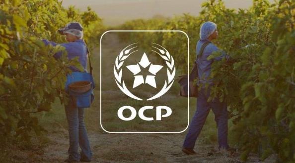 OCP Group: Solid performance in the first quarter of 2024