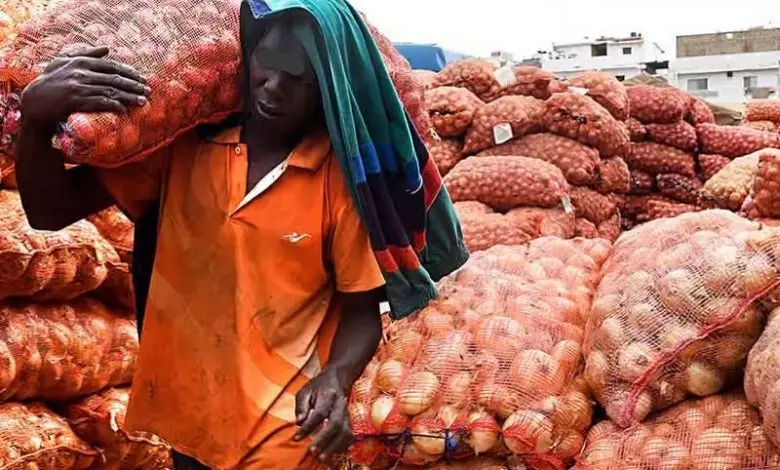 Onion and potato exporters wait for government to reverse decision to stop exports to Africa