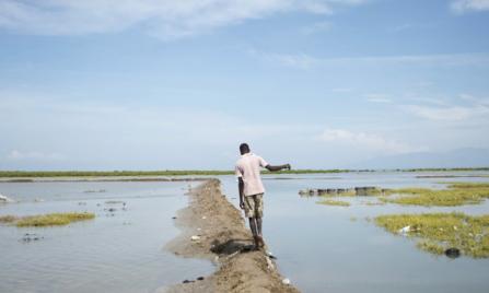 Small Island Developing States: Leveraging Diaspora Skills, Networks, and Economic and Cultural Capital