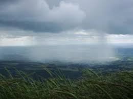 Weather: scattered showers