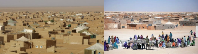 World Refugee Day: precarious living conditions in the Tindouf camps, Algeria