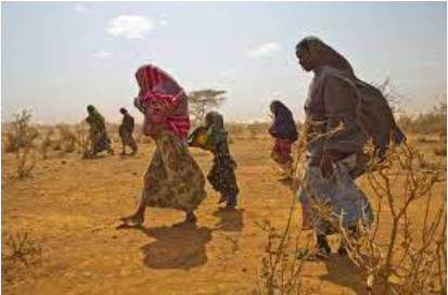 World Refugee Day: terrifying testimonies from young refugees