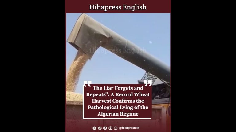 A Record Wheat Harvest Confirms the Pathological Lying of the Algerian Regime