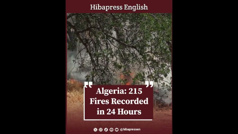 Algeria: 215 Fires Recorded in 24 Hours