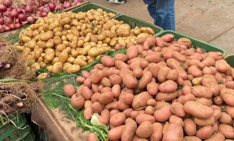 Authorities allow export of onions and potatoes to Africa, set maximum quantities allowed