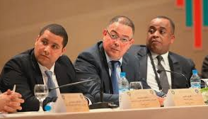 FRMF Steering Committee: Provisions relating to Article 27 and the case of Naciri and Boudrika