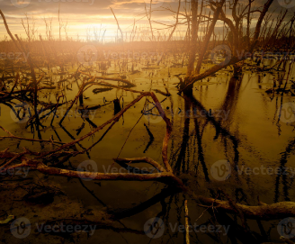 How are climate change deaths calculated?