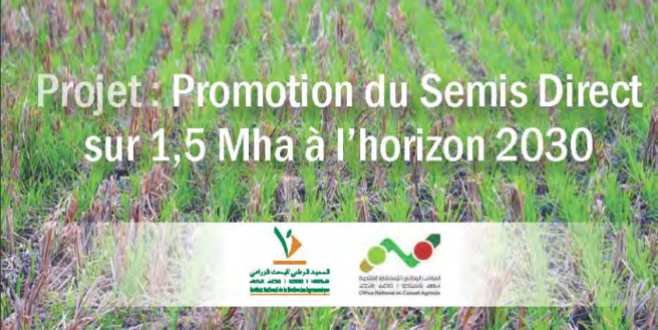 MAPMDR/ National direct seeding development program: Two structuring programs