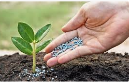 MAPMDR: Series of measures for the preparation of the next agricultural campaign