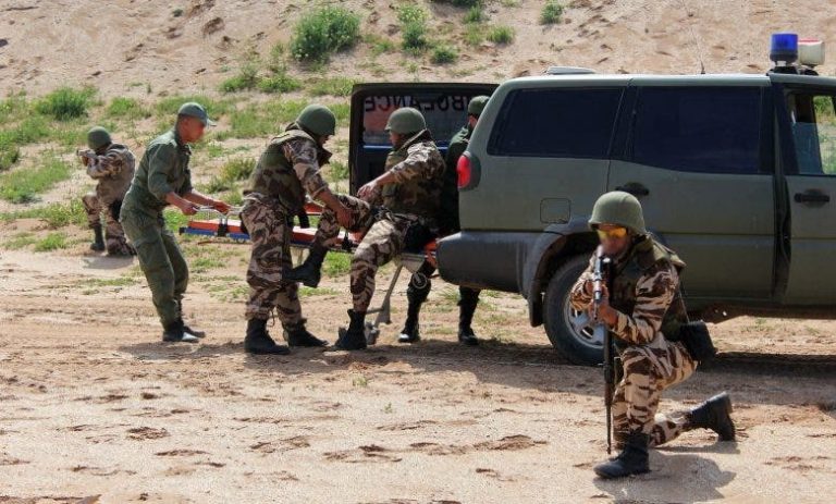Military defense leads Italian army to coordinate with heads of royal armed forces