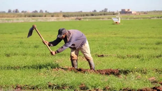 My friend announces preparatory measures for the 2024-2025 agricultural season